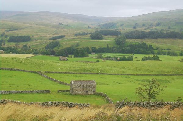Wensleydale